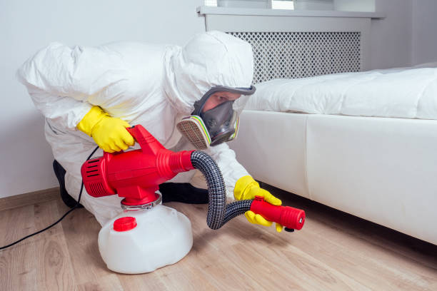 Best Bed Bug Extermination  in Saticoy, CA