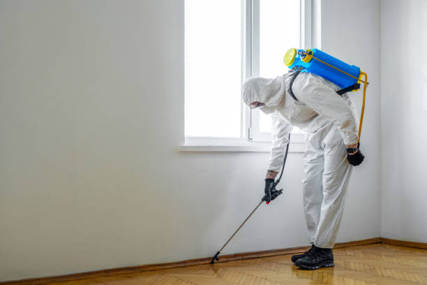 Best Pest Removal Services  in Saticoy, CA